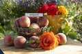 a vase with ripe peaches, a bouquet of flowers, an orange rose and peaches Royalty Free Stock Photo