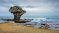 Vase Rock was formed by the rising of coastal coral reef, just off Liuqiu Island