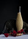 Vase, roses and cat Royalty Free Stock Photo