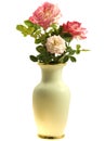 Vase of roses spring flowers Royalty Free Stock Photo