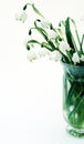 Vase with snowdrops