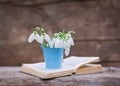 A vase with snowdrops stands on an open book