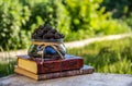 Vase with summer berries and a pile of books. Juicy ripe mulberry in the summer garden. Summer background.