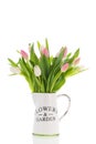 Vase tulips in pink and white Royalty Free Stock Photo