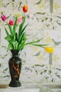 Vase with tulips in spring backgroud Royalty Free Stock Photo