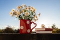 vase with white chrysanthemum flowers, books. Good morning. concept of reading, romantic mood, education, wisdom