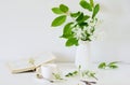 Vase with White Flowers Bird Cherry Tree, Morning, Cup with Coffee, Old Book Royalty Free Stock Photo