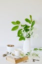 Vase with White Flowers Bird Cherry Tree, Morning, Cup with Coffee, Old Book Royalty Free Stock Photo