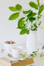 Vase with White Flowers Bird Cherry Tree, Morning, Cup with Coffee, Old Book Royalty Free Stock Photo