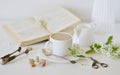 Vase with White Flowers Bird Cherry Tree, Morning, Cup with Coffee, Old Book Royalty Free Stock Photo