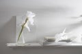 A vase with white iris, pieces of paper,
