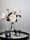 Vase of white roses with glasses of candles on a table solated on a gray background Royalty Free Stock Photo