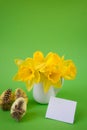 Vase with yellow daffodils next to decorated Easter eggs on a green background with post card