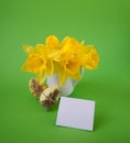 Vase with yellow daffodils next to decorated Easter eggs on a green background with post card