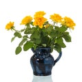 Vase yellow roses Royalty Free Stock Photo