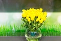 Vase of yellow tulips in modern living room Royalty Free Stock Photo