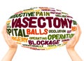 Vasectomy word cloud hand sphere concept