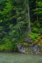 The Vaser valley in Maramures Mountains.