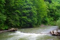 The Vaser valley in Maramures Mountains.