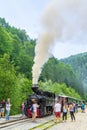 Vaser Valley old train attraction Royalty Free Stock Photo