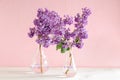 Vases with beautiful blossoming lilac on table against color background