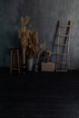 Vases with dried flowers in the interior of an dark room Royalty Free Stock Photo