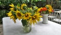 Vases of garden flowers on white lunch table under shade of tree in the garden