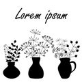 Vases and pitchers with Bouquets of twigs with leaves, herbs . Silhouettes of simple plants, herbarium