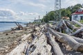 Vashon Island Shoreline