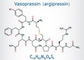 Vasopressin, arginine vasopressin AVP or argipressin molecule. It is antidiuretic hormone ADH synthesized as a peptide prohormone