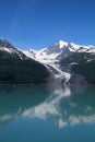 Vassar Glacier in College Fjord, Alaska Royalty Free Stock Photo