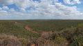 Vast African forest panorama landscape, nature background