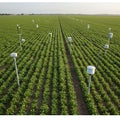 A vast agricultural field with neatly arranged rows of green crops. Multiple pole- Royalty Free Stock Photo