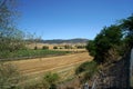 Vast arid area with few trees during the daytime