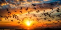 vast array of birds soaring through the sky, their silhouettes fading into the distance as the sun sets. Design Back Generative AI