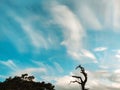 The vast blue sky, clouds sky. Blue sky background with tiny clouds. Sky panorama. Beautiful sky. Sky cloud wallpaper Royalty Free Stock Photo