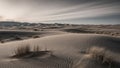 Vast desert landscape with rippled sand dunes and sparse dry grass under a dramatic cloudy sky Keywords: desert, sand Royalty Free Stock Photo