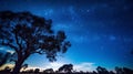 Vast Expanse of the Celestial Canopy