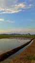 A vast expanse of unplanted paddy fields stretches out under a clear blue sky, awaiting the arrival of crops