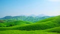 A vast expanse of vibrant green field lies beneath a towering backdrop of majestic mountains, Lush green hills under a clear blue