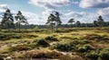 Vast expanses of heathland, characterized by open