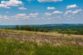 Vast expanses of the Voronezh region.