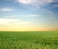 Vast field and clear sky Royalty Free Stock Photo