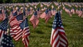 Field of American Flags in Patriotic Display