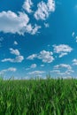 Grassy Field Under Blue Sky With Clouds Royalty Free Stock Photo