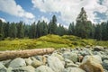 A vast field of round boulders of a river bed in a landscape in Doodhpathri, Kashmir. A log of wood lumbered Royalty Free Stock Photo