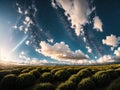 A vast field of tall, green grass swaying in the breeze under a clear blue sky with fluffy white clouds drifting across Royalty Free Stock Photo