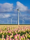 A vast field of vibrant tulips swaying in the wind, with traditional windmills standing proudly in the background