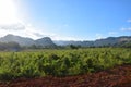 Views at the valley of viÃÂ±ales Royalty Free Stock Photo