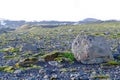 Vast flat area with green moss and gravel Royalty Free Stock Photo